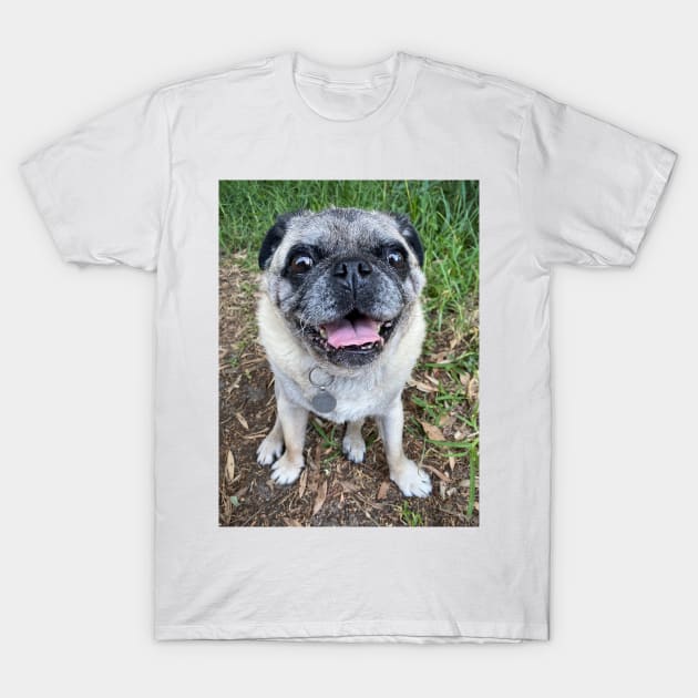 Cute pug dog sitting near grass T-Shirt by Geoff79